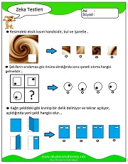 Zeka Gelişim Testleri